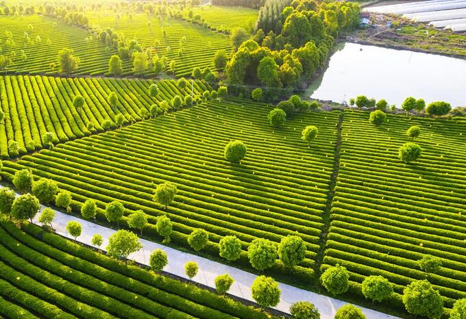 湖北省“四好農(nóng)村路”示范創(chuàng)建提質(zhì)擴(kuò)面助力鄉(xiāng)村振興